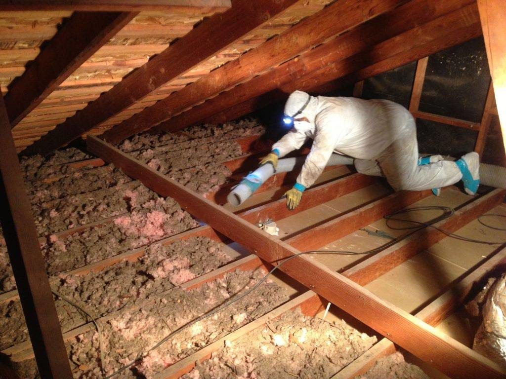 attic maintenance for spring